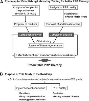 Strategic analysis of body composition indices and resting platelet ATP levels in professional soccer players for better platelet-rich plasma therapy